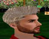 cabelo loiro masculino