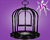 (VN) Ravens Gilded Cage