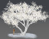TreeSnownPoses