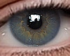 ✔ Eyes