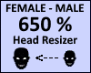 Head Scaler 650%