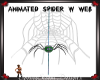 Anim Spider on Web