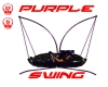 Purple and black swing