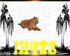 *H4*Female Lion