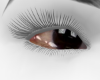 virgin tears