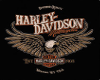 Harley Saloon