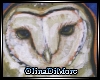 (OD) Owls on canvas