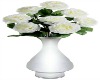 White Roses / White Vase
