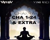 Chakra-W&W x Vini Vici