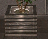 +DS LARGE PLANT+