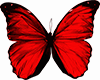 ✖.butterflies Red