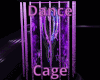 Dance Cage