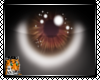 : Taitikii Eyes : M/F
