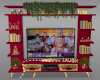 DSR TV Unit