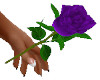 purple rose left hand