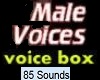 Male Voice 85 Sounds