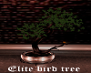 Elite small tree