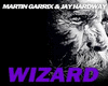 Wizard-Martin Garrix 