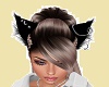 Moon Kitty Ears  N