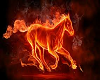 Flaming Horse 2