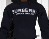 ʀ | Buʀbeʀʀy