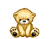 Your Teddy Bear!