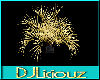 DJL-Draceano Gold