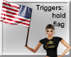 USA FLAG IN HAND