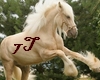 7T* Lovely Horse pic