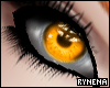 ® Prismatic eyes Gold