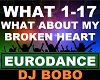 DJ Bobo - What About My