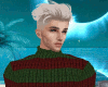 Freddy Turtle Sweater