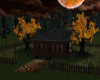 Fall/ Cabin #13