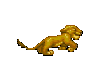 Lion King - Simba Cub
