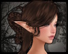 +Flutter Tail - steam