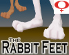 Rabbit Feet -Womens v1a