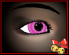 Pink Foxglove Eyes (F)