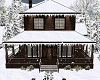 Snowy Winer Home
