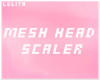 Mesh Head Scaler