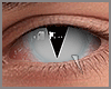 s. Eyes feline