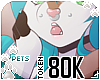 [Pets] 80k support