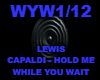 HOLD ME WHILE YOU WAIT