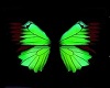 Butterfly Ore Dark Green