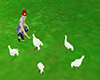 Play with Doves
