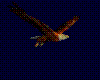 [SH11]Flying Bald Eagle