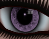 Purple Window Eyes ~LC