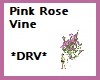 *DRV* Pink Rose Vine