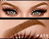 P►Ginger /Red Eyebrows