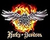 Harley Davidson BRB box