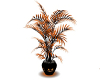 (K) Halloween Plant Anim